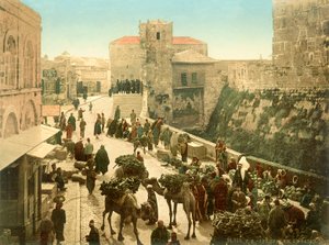 耶路撒冷大卫塔前的街道，1880-1900（photochrom） 作者 瑞士摄影师